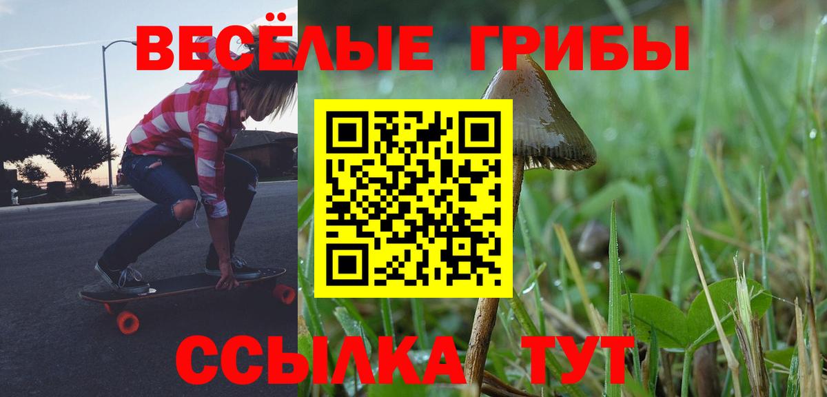 Галлюциногенные грибы прущие грибы  Вход с VPN  Рузаевка 