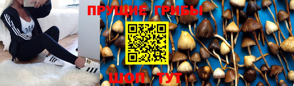 Псилоцибиновые грибы ЛСД Рузаевка